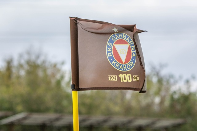 亦可为引援 亦可为引援