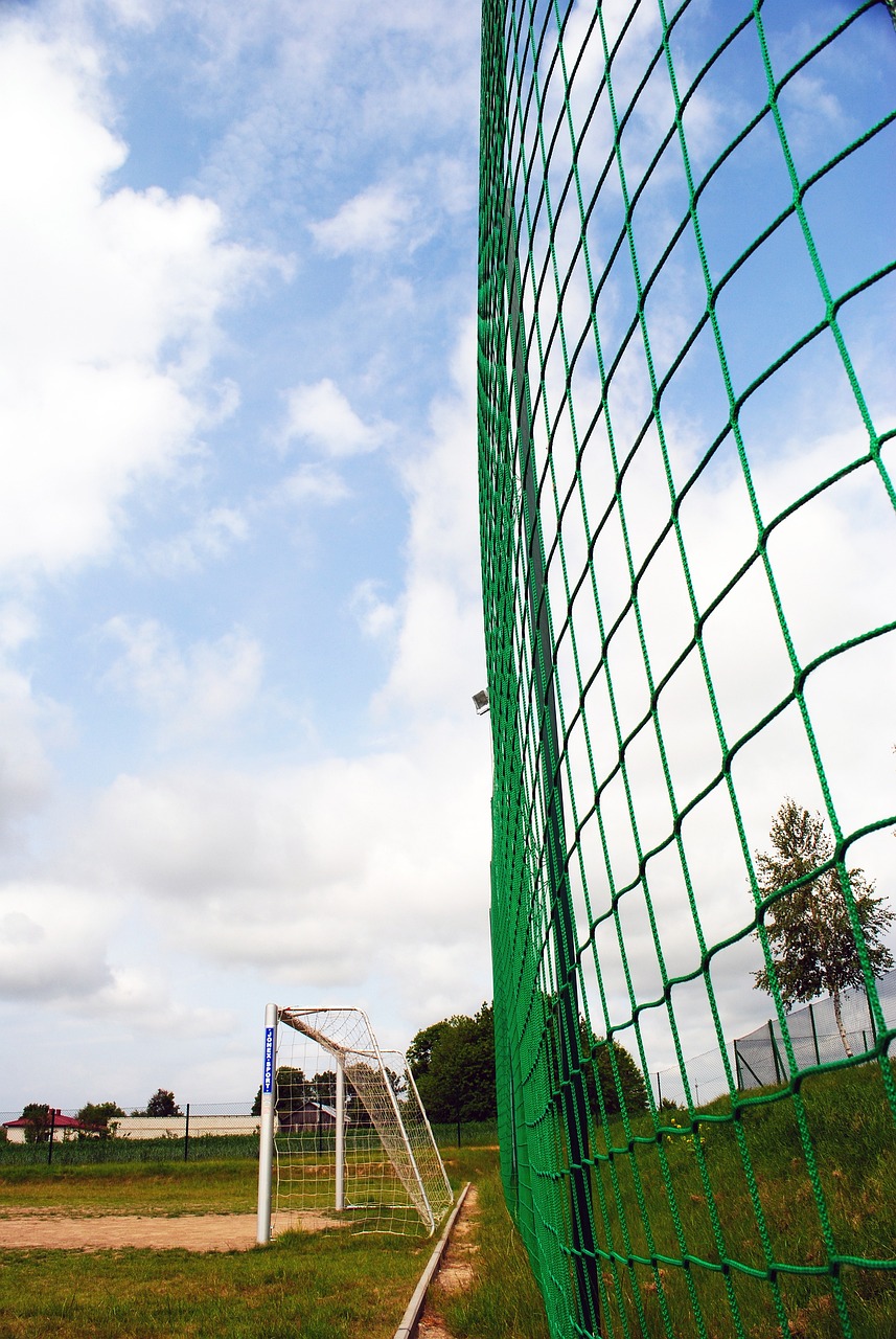 电子竞技赛 电子竞技赛